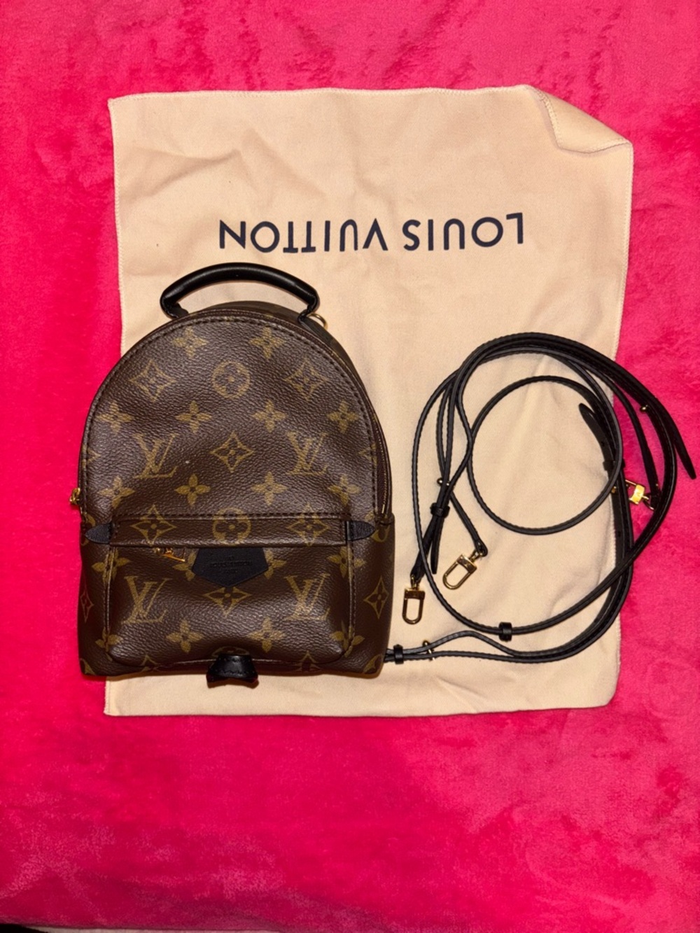 Louis Vuitton Monogram palm springs mini Backpack in Brown with Gold Hardware - Picture 2 of 13